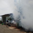 수문리조트 이미지