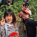 태권도장 채움 이미지