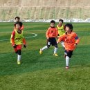 화개리 군민운동장 이미지