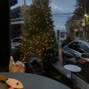 고래관광나이트 이미지