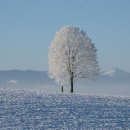 목동정문약국 이미지