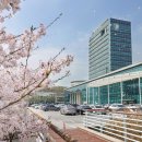 용인-구갈-구갈4 이미지