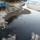 선관내 | 인천사주 선관도사 차대감 사주가 너무 궁금해서 방문했는데 진짜 잘한 선택이었습니다.