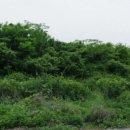 블루썬온천사우나 이미지