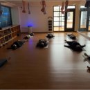 봄요가 - 고양시 일산동구 무궁화로 8-38 | 봄요가