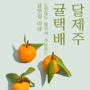 달제주 | 서귀포 남원 달제주 귤택배 선물받은 후기 / 수강생들도 다 먹고 간 역대급 귤