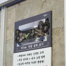 탕탕칼제비