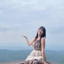 (주)모아투어여행사