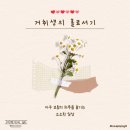 설탕에찍은딸기 | 자취생의 건강한 척 안 건강한 밥상 (보쌈, 우베디저트, 수제 딸기쨈, 이것저것 일상!)
