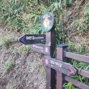 선사시대로 탐방 길(선사2코스) | 덕봉산 맹방전망대 해안생태탐방로 후기｜파도 보며 걷는 삼척 바다 산책코스