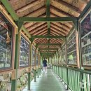 외연도둘레길 이미지