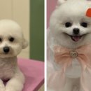 무주카라반앤펜션 이미지