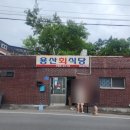 용산식당 | 【경주 맛집】 단일 메뉴의 위엄! 줄 서서 먹는 '용산 회 식당' 회덮밥 솔직 후기 (포장 필수)