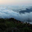 일기일회 이미지