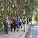 문경새재길 | 4월의 문경새재를 걷는다