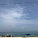 사천우리약국 이미지