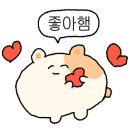 바른몸체형관리