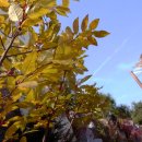 성원쌍떼빌아파트 이미지