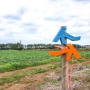 제주 모슬봉 일제군사시설 이미지