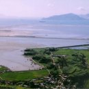 태인동 장내마을 이미지