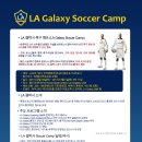 [겨울방학 특집]미국 LA 갤럭시 유소년 겨울 축구 캠프 이미지