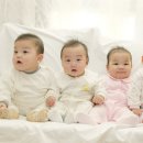 GL메디칼 이미지