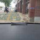 서진 카포스 이미지