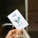 나비 호스텔 이미지