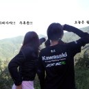모모 이미지