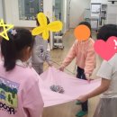 요아힘플라워