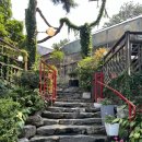 소나무캠핑 이미지