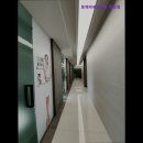 로제피부과의원 | [대구 피부과 추천!] 로제피부과의원 중앙점 대구 피부과 추천! 만족도 높은 곳