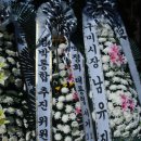 박정희로-32 이미지