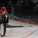 빨강머리 이미지