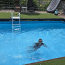 오늘하루 애견 동반 스파펜션 이미지