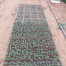 상화농장 이미지