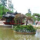 순천만 숲6 이미지