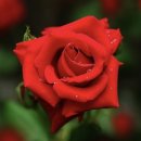 포엠하우스 이미지