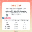 고혈압 티스토리