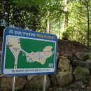 장태산자연휴양림캠핑장 이미지