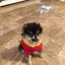 포근포근 이미지