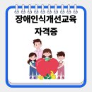 장애인 인식개선: 다름의 이해 | 장애인식개선교육 자격증 수강 후기, 한국심리교육협회