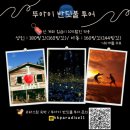 반딧불 | 말레이시아 코타키나발루 뚜아이 반딧불 투어 후기