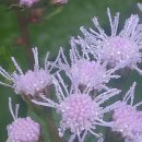 춘호농장 이미지