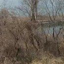 묘도동 주민센터 이미지