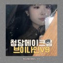브이 나인 | 청담헤어메이크업 청담메이크업샵 브이나인 V9 헤어메이크업 후기