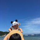 영일대해수욕장 티스토리