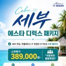 SI패키지