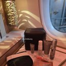 822 | 에티하드 항공 A350 비즈니스 클래스 탑승 후기 | EY822 아부다비-인천 노선 ✈️