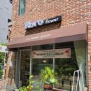 도래울 꽃집 로로플라워 방문 후기 고양 꽃집 꽃다발 추천